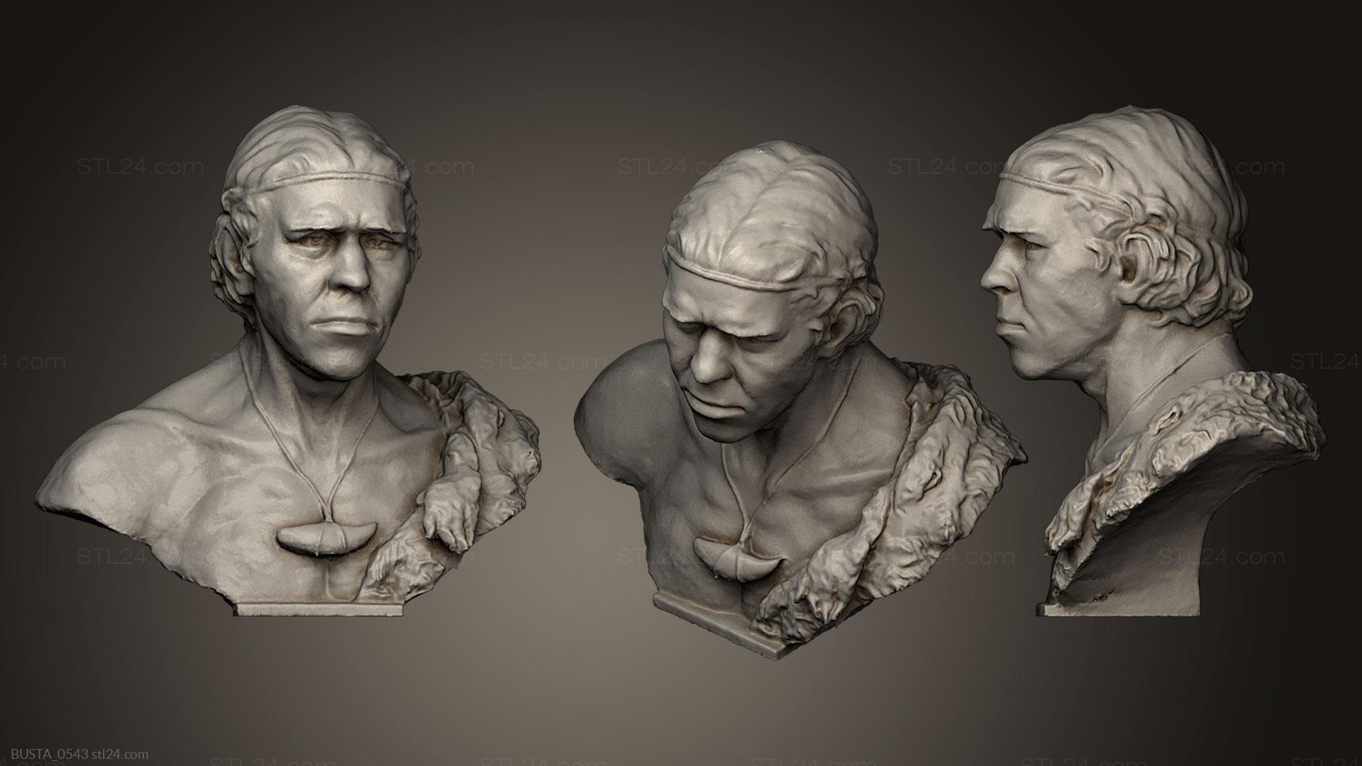 Бюсты и головы античные и исторические (Неизвестный мужчина 8, BUSTA_0543) 3D модель для ЧПУ станка